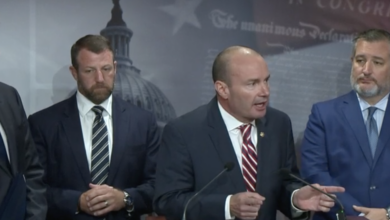 Mike lee wonders if fatherlessness is behind mass shootings